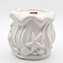 Bougie Océan - Blanc / Eucalyptus, Camphre